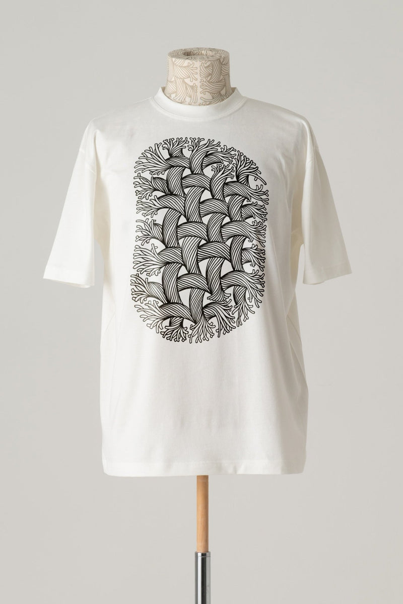 tshirt-printed-cotton100-